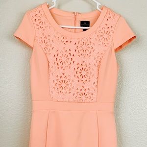 Worthington Peach Dress